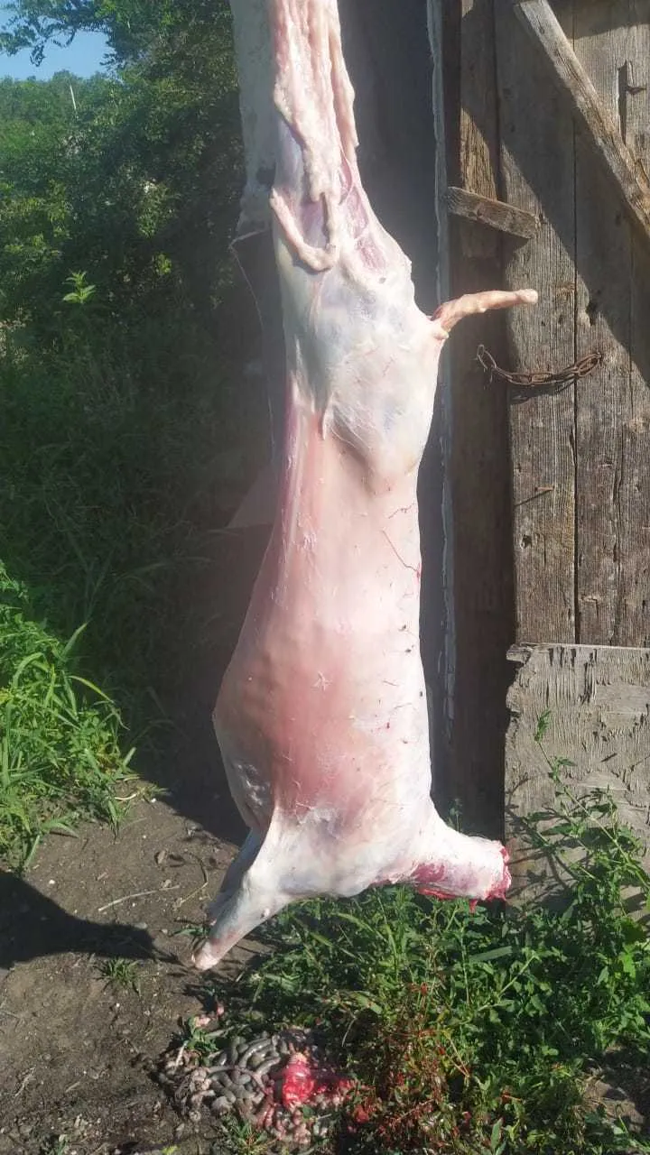 мясо баранина в Черкесске и Республике Карачаево-Черкессия 2